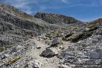 063997 Salendo alla Forcella Pian di Cengia